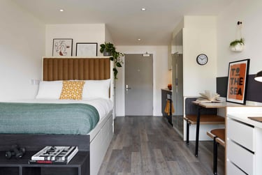 Birch Studio at Student Castle, 2-6 Pelham Terrace, Hove Station, Brighton, BN24GS - Image 4