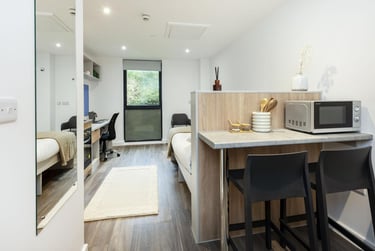 Classic Studio at Hill View Place, Glenthorne Road, St Thomas, Exeter, EX44GZ - Image 3