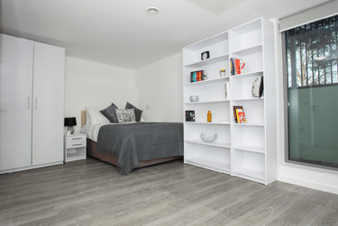 Premium Plus Studio - Image 2