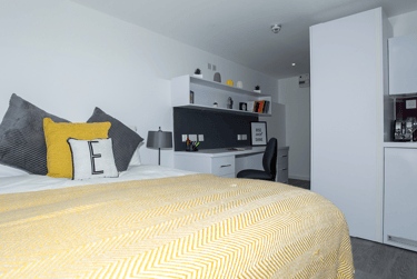 Premium Plus Studio - Image 3