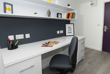 Premium Plus Studio - Image 5