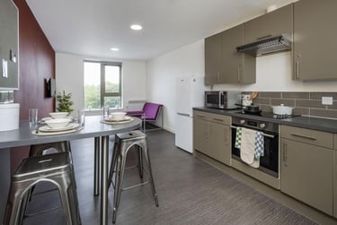 Gold Ensuite at Foundry Courtyard, 214 Kennedy Street, Glasgow Caledonian University, Glasgow, G40DB - Image 6