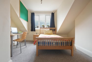 3 bed house, Harland Road, Sharrow, Sheffield, S118NB - Image 7