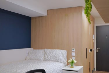 Premium Plus - Image 3