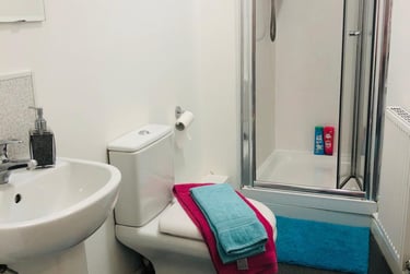 5 bed house, Pomona Street, Sharrow, Sheffield, S118JL - Image 9