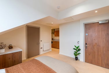 Premium Plus Studio at Ryan Hall, 28 Elmwood Avenue, Queen's Quarter, Belfast, BT96AY - Image 3