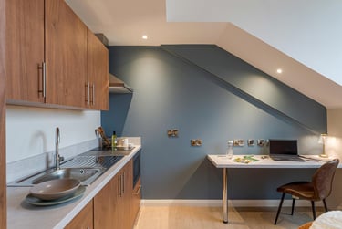 Premium Studio at Ryan Hall, 28 Elmwood Avenue, Queen's Quarter, Belfast, BT96AY - Image 4