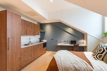 Premium Studio at Ryan Hall, 28 Elmwood Avenue, Queen's Quarter, Belfast, BT96AY - Image 3