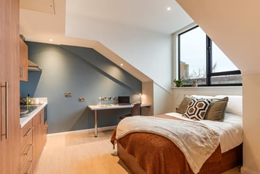 Premium Studio at Ryan Hall, 28 Elmwood Avenue, Queen's Quarter, Belfast, BT96AY - Image 1