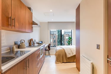 Classic Plus Studio at Ryan Hall, 28 Elmwood Avenue, Queen's Quarter, Belfast, BT96AY - Image 8