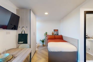 Classic Studio - Image 4