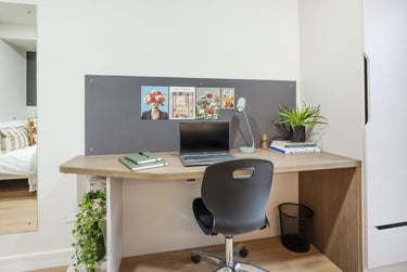 Standard Studio - Image 3