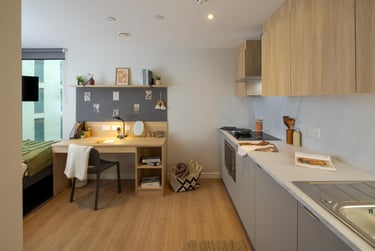 Premium (Accessible) Studio, Standard Floors - Image 2