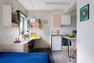 Bronze Studio at St Thomas Court, 20 Gasking Street, Mutley, Plymouth, PL49AP - Image 2