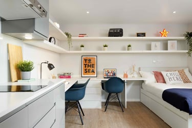 Gold Studio at St Teresa House, Beaumont Road, City Centre, Plymouth, PL49AZ - Image 2