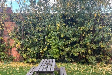 3 bed house, West Parade, West End, Lincoln, LN11JZ - Image 3