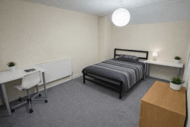 3 bed house, Neill Road, Sharrowvale, Sheffield, S118QJ - Image 6