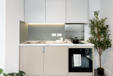 true Sky Studio Plus - Image 4