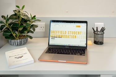 true Sky Studio Plus - Image 9