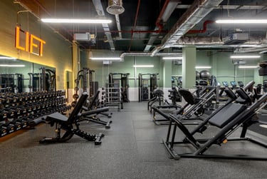 true Accessible Studio - Image 17