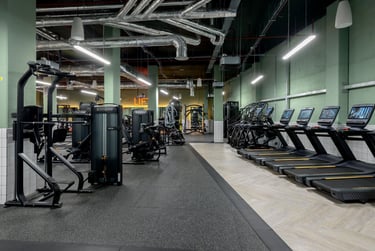 true Sky Studio - Image 18