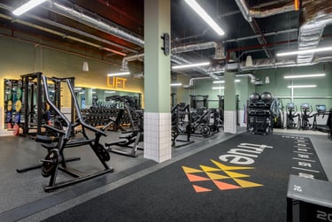 true Studio - Image 16