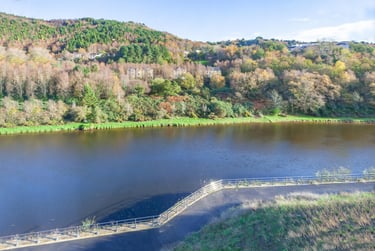 true Accessible Studio River View - Image 8