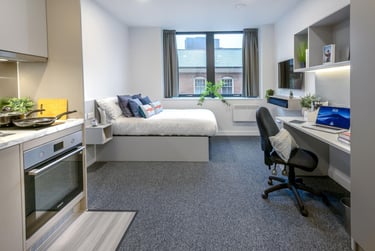 True Studio Plus - Image 1