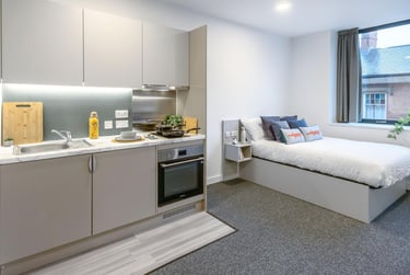 True Studio Plus - Image 2