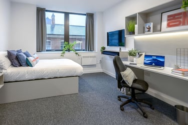 True Studio Plus - Image 3