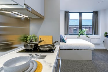 True Studio Plus - Image 4