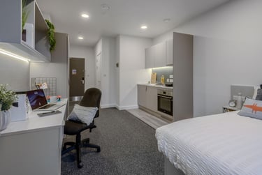 True Studio Plus - Image 5