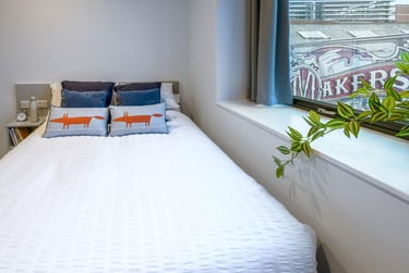 True Studio Plus - Image 6