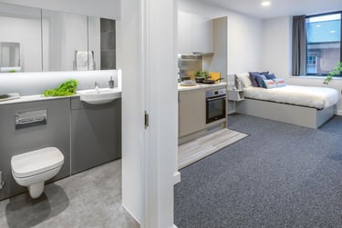 True Studio Plus - Image 7