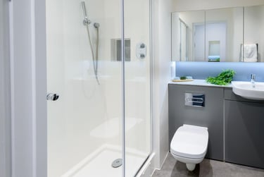 True Studio Plus - Image 8