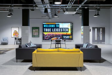 True Studio Plus - Image 30