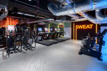 True Studio Plus - Image 39