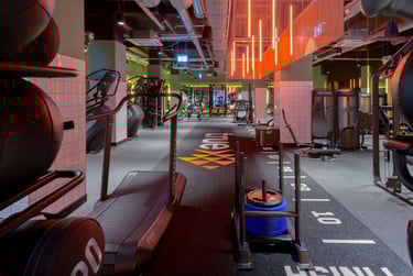 True Studio Plus - Image 41