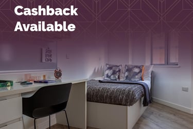 Deluxe Plus Studio - Accessible - Image 1