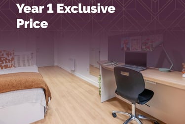 Standard Studio Plus - Image 1