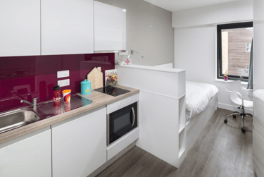 Standard Studio - Image 3