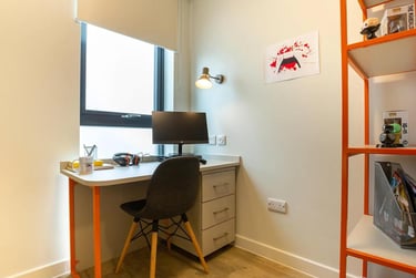 Skyline Cluster Studio Plus - Image 3