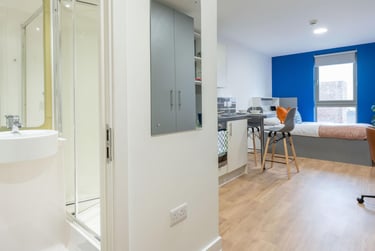 Silver Studio Plus - Image 2