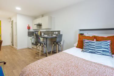 Silver Studio Plus - Image 3