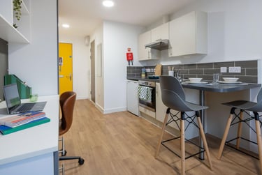 Silver Studio Plus - Image 4