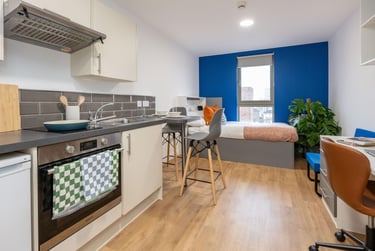 Silver Studio Plus - Image 1