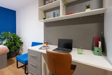 Silver Studio Plus - Image 6