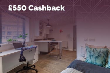 Classic Studio - Image 1