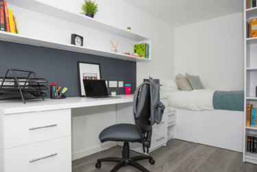 Large Standard Plus Studio - Image 1