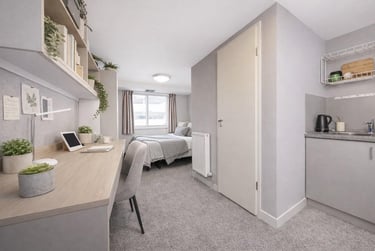 Deluxe King Studio - Image 1